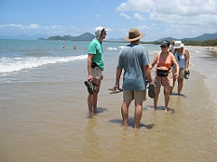 041 Plage Palm Cove